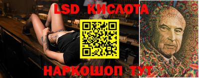 стаф Кингисепп