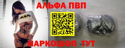 стаф Кингисепп