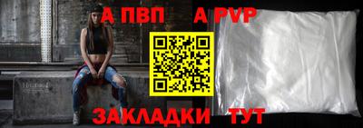 стаф Кингисепп