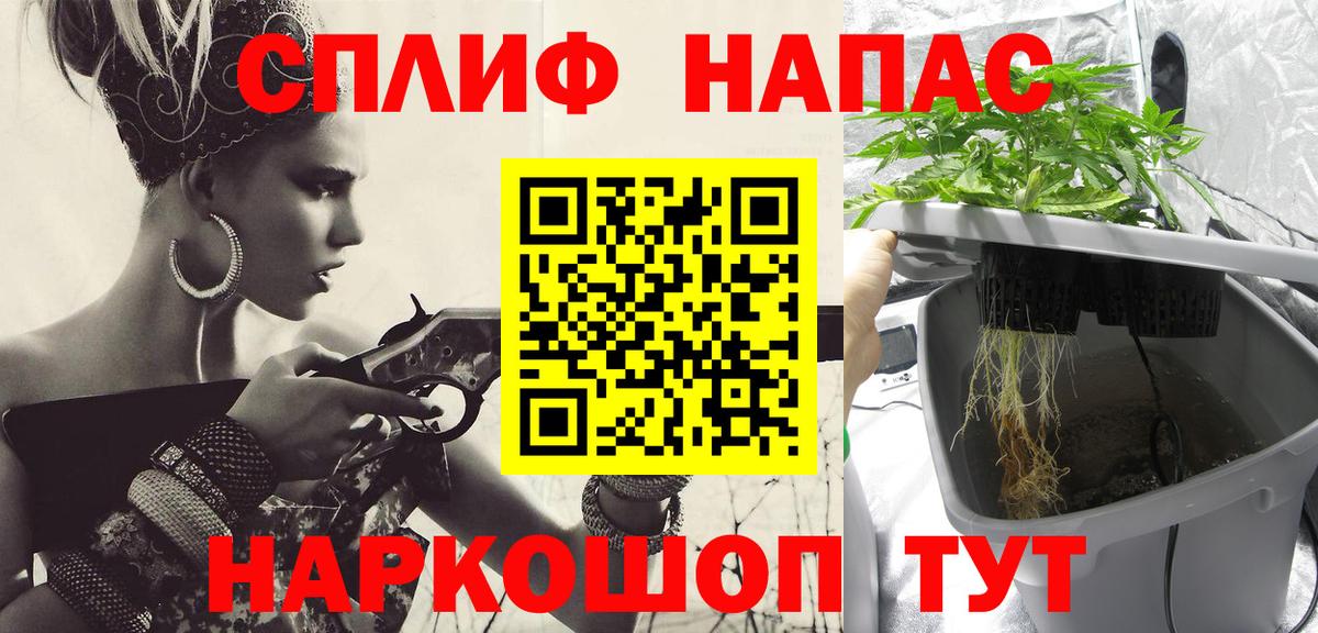 Конопля Bruce Banner  Вход с VPN  Бошки марихуана тримм  Карталы  Каннабис сатива 